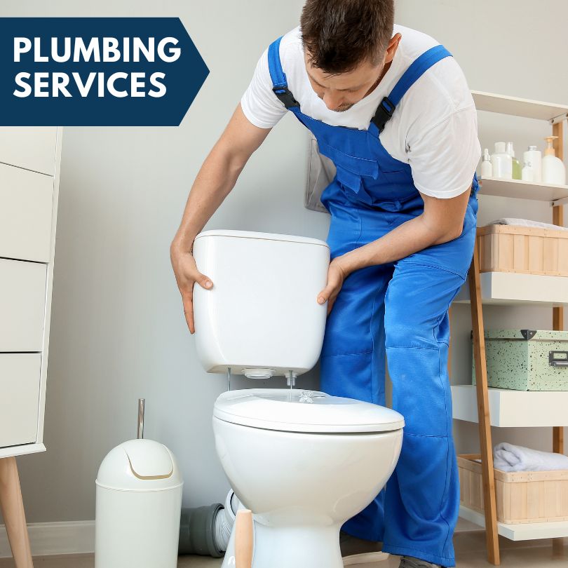 Plumbing Company in Alleene, AR